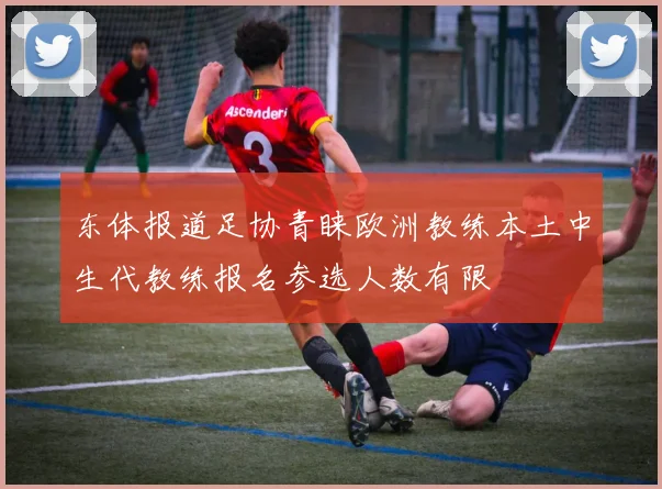 东体报道足协青睐欧洲教练本土中生代教练报名参选人数有限