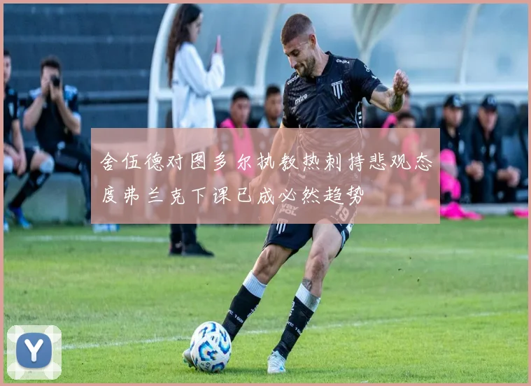 舍伍德对图多尔执教热刺持悲观态度弗兰克下课已成必然趋势
